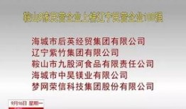 鞍山新闻爆料,最新爆料揭示城市动态与民生焦点